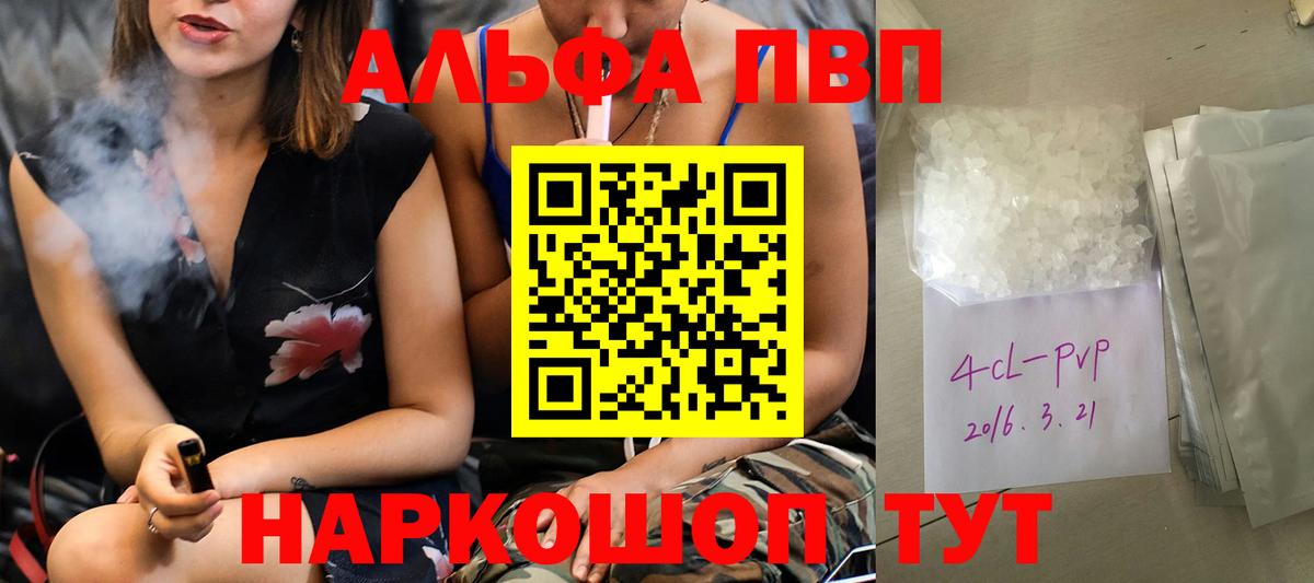 APVP СК Кузнецк