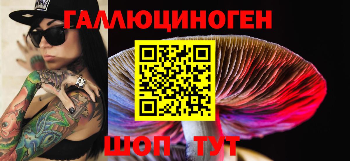 Псилоцибиновые грибы Cubensis  купить   Кузнецк  Вход с VPN  Псилоцибиновые грибы Psilocybe 